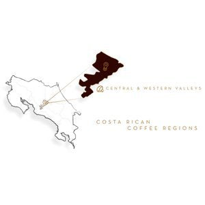 Café Britt® - Costa Rican Dark Roast Coffee (12 oz.) - Whole Bean, Arabica Coffee, Kosher, Gluten Free, 100% Gourmet & Dark Roast (1 Year Shelf-Life)