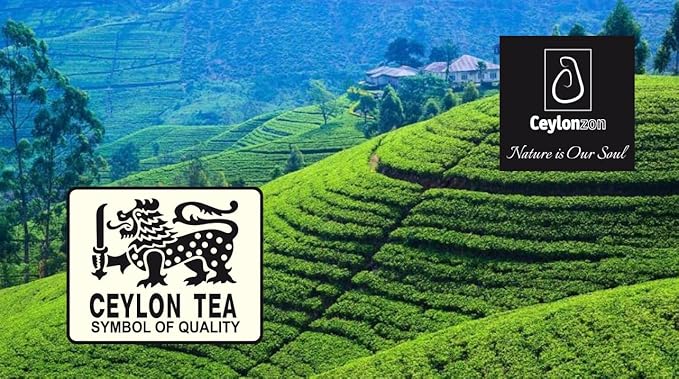 Ceylonzon Chai Tea Classic Taste 50 Individually Foil-Wrapped Tea Bags, Pure Ceylon Black Tea with Naturally Rich flavor & Spices, Spice Chai Latte Blend 80g