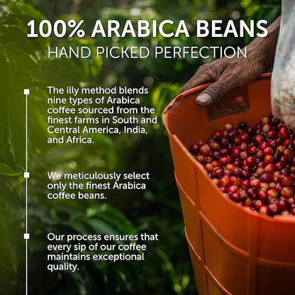 Illy Whole Bean Coffee, Classico Medium Roast - Mild & Balanced - 100% Arabica - Whole Beans - Pressurized Packaging Sealed for Freshness - 8.8oz can (Pack of 12)