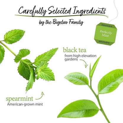 Bigelow Tea Perfectly Mint Black Tea, Caffeinated Spearmint Tea, 20 Count Box (Pack of 6), 120 Total Tea Bags