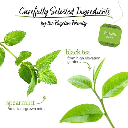 Bigelow Tea Perfectly Mint Black Tea, Caffeinated Spearmint Tea, 20 Count Box (Pack of 6), 120 Total Tea Bags