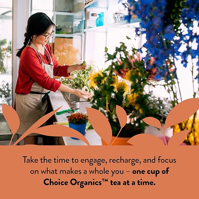 Choice Organics - Organic Oolong Tea (1 Pack) - Fair Trade - Compostable - Contains Caffeine - 16 Organic Oolong Tea Bags